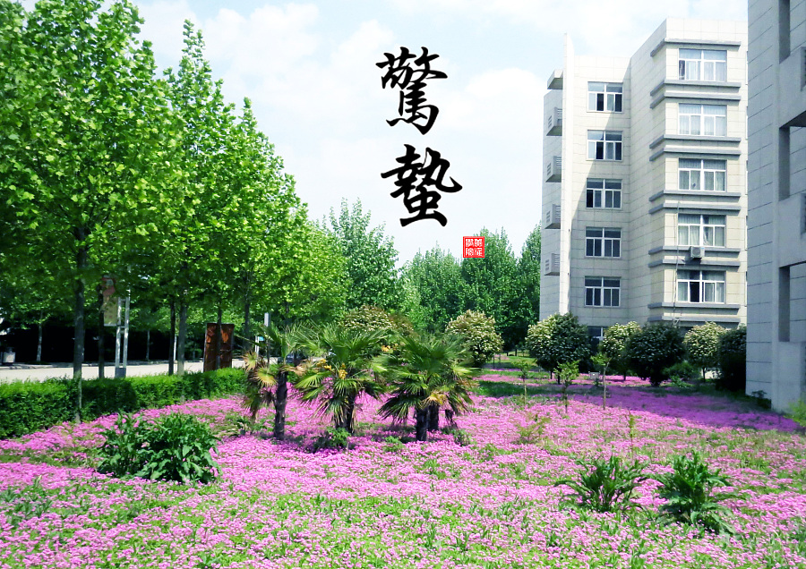 中国风节气海报