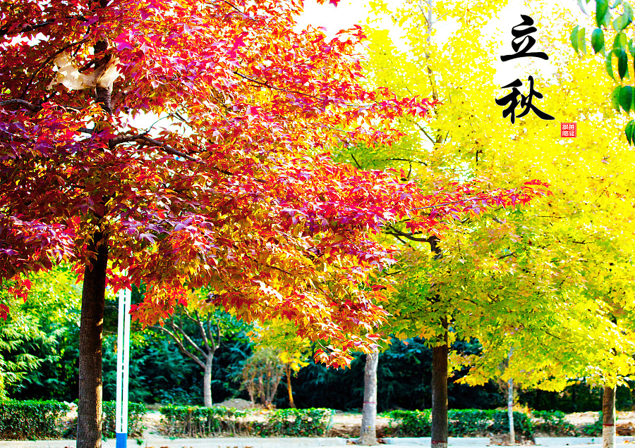 中国风节气海报
