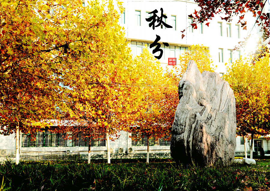 中国风节气海报