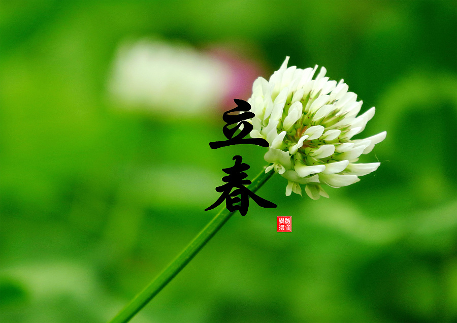 中国风节气海报