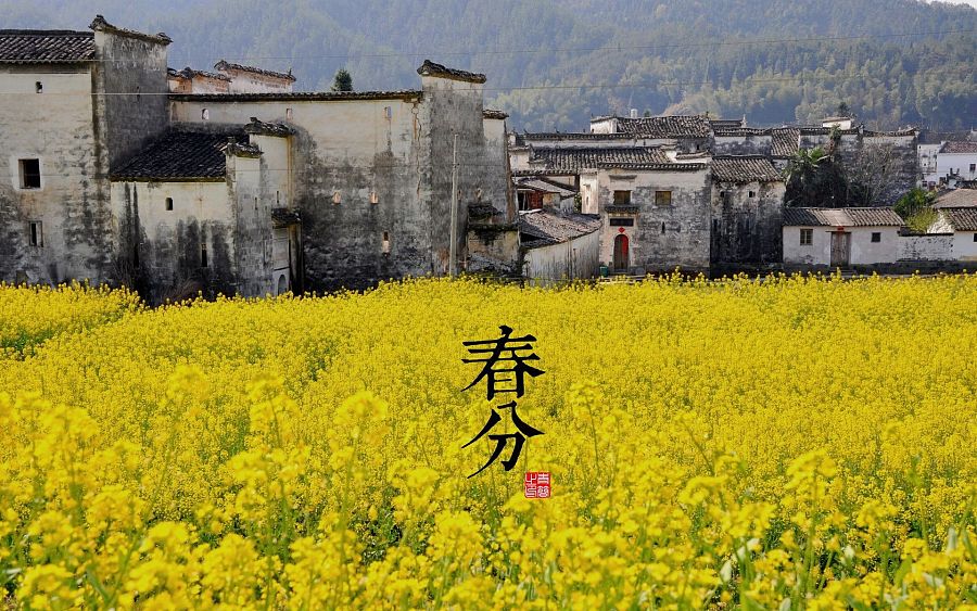 中国古风自然风景 二十四节气  壁纸 图案 海报设
