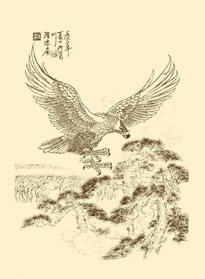 精美的鹰姿白描绘画艺术作品（一）