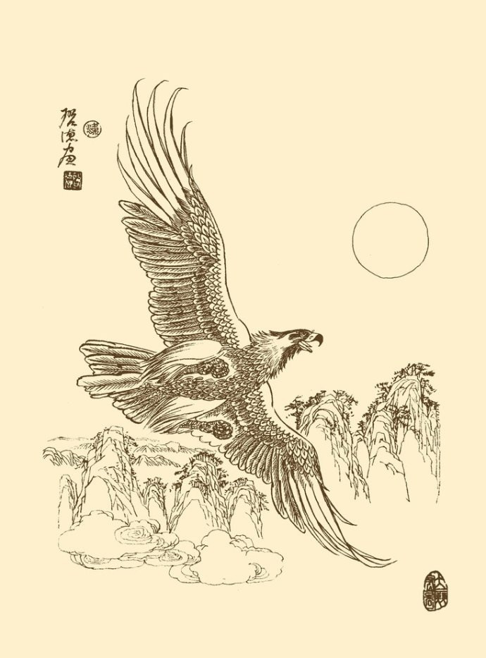 精美的鹰姿白描绘画艺术作品（一）