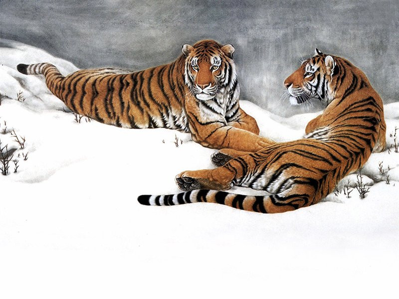 精美传统极品国画作品（二）