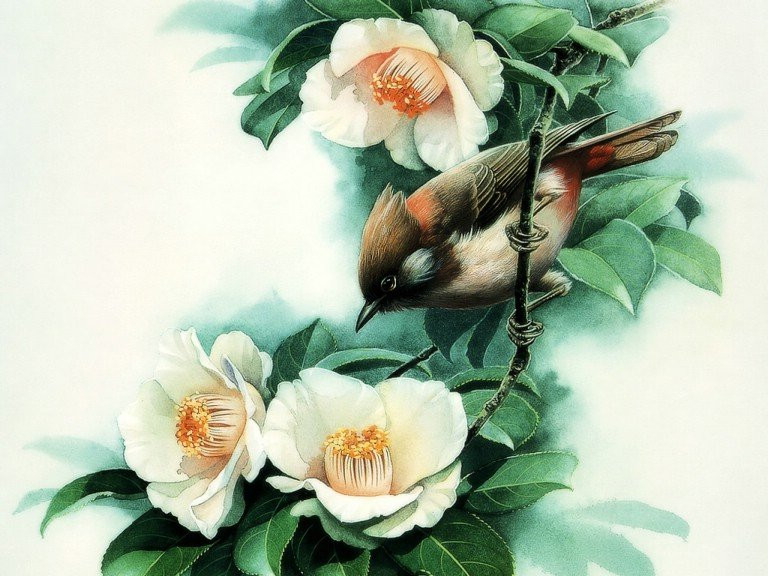 精美传统极品国画作品（二）