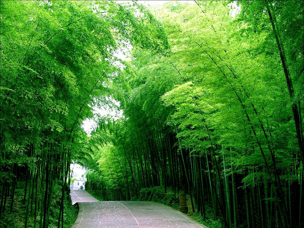 锦绣中华各地美景摄影作品（十七）