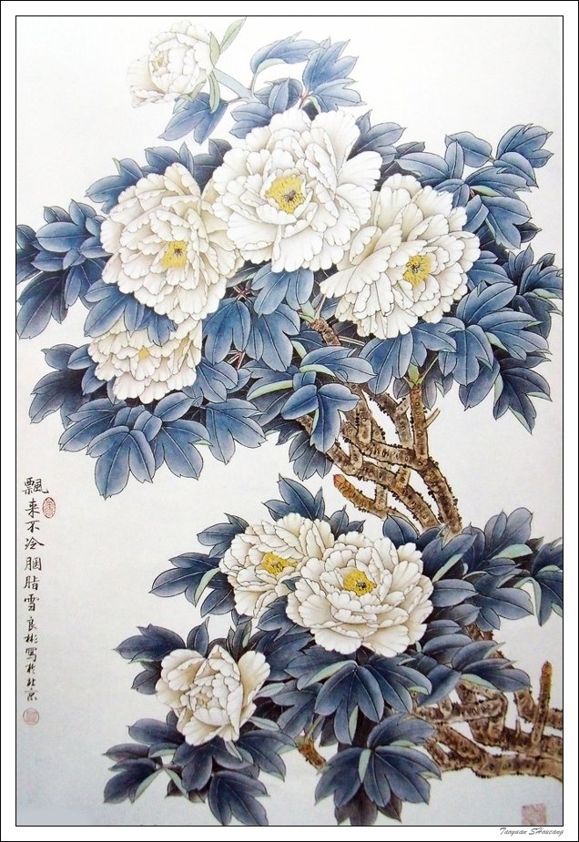 唯有牡丹真国色--牡丹主题工笔绘画作品（三）