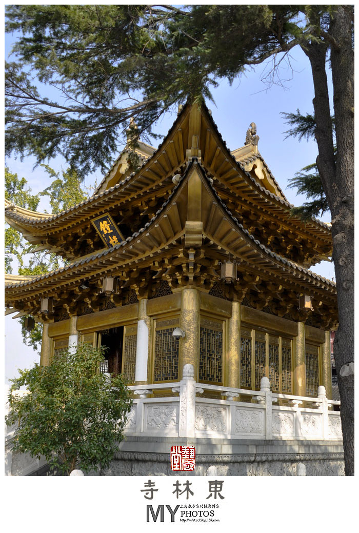 上海金山东林寺摄影艺术作品