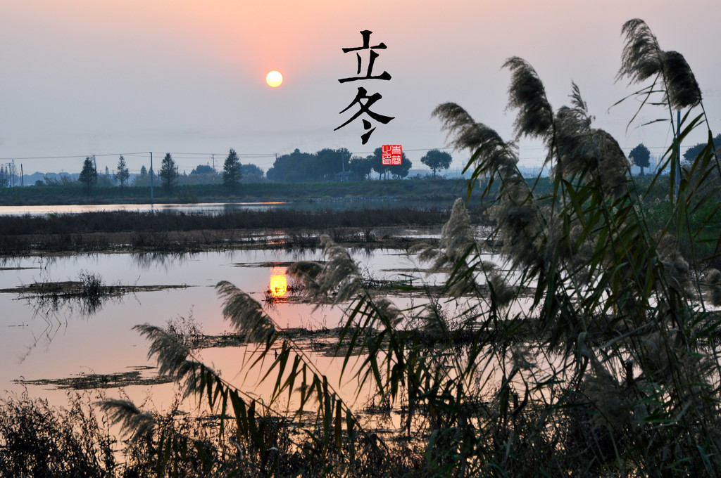 清淡而美丽的二十四节气明信片