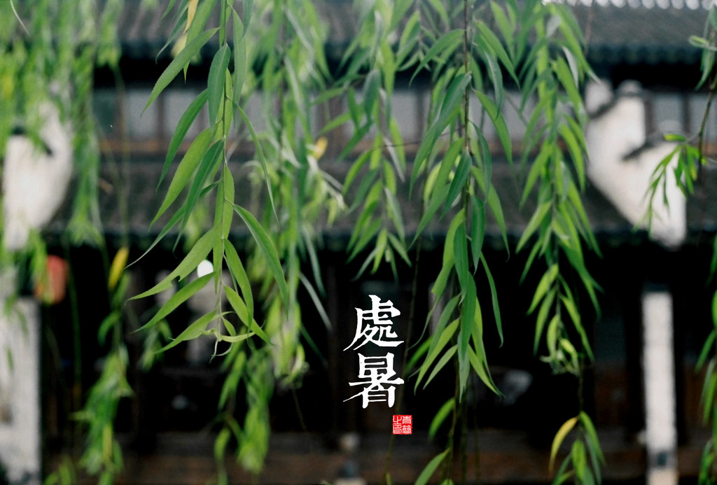 清淡而美丽的二十四节气明信片