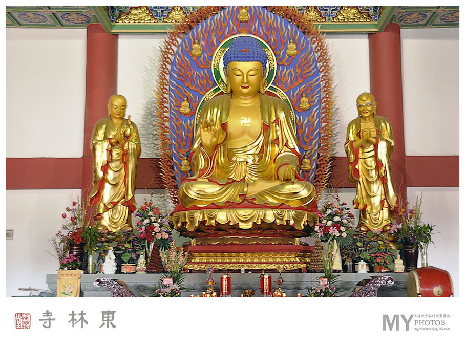 上海金山东林寺摄影艺术作品