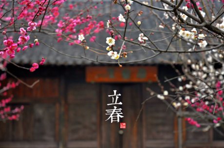 清淡而美丽的二十四节气明信片