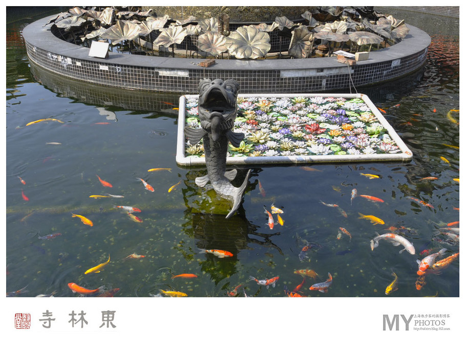 上海金山东林寺摄影艺术作品