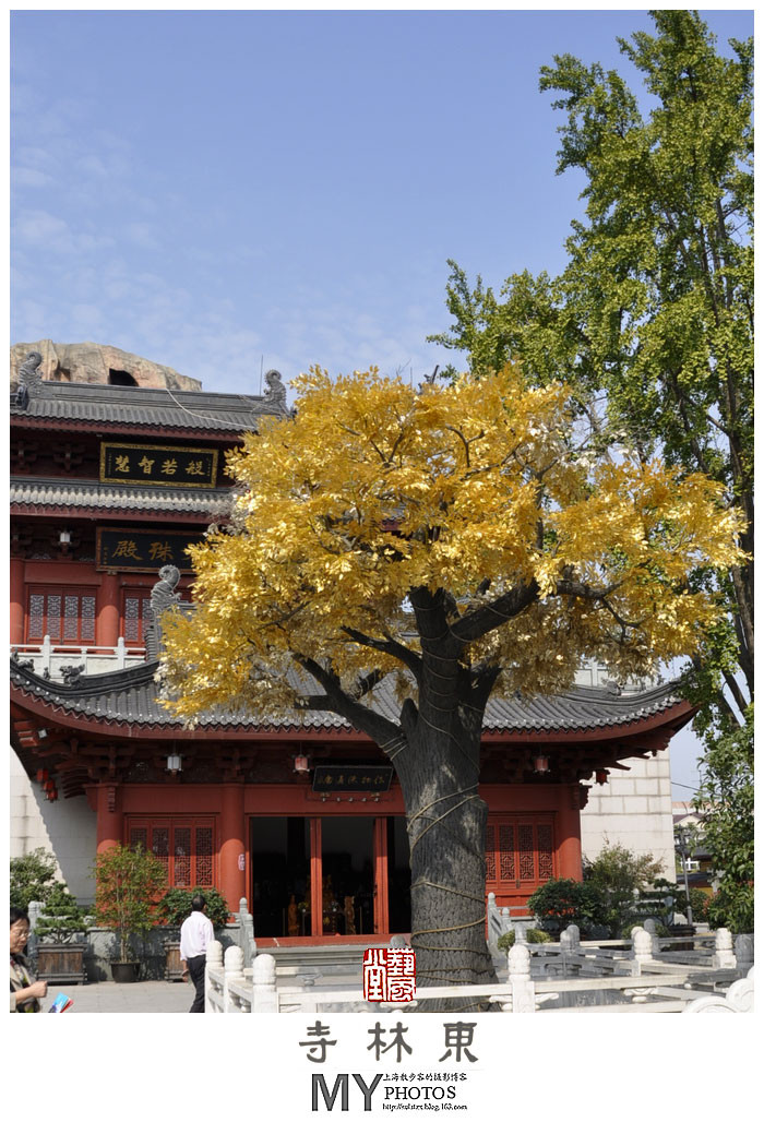 上海金山东林寺摄影艺术作品
