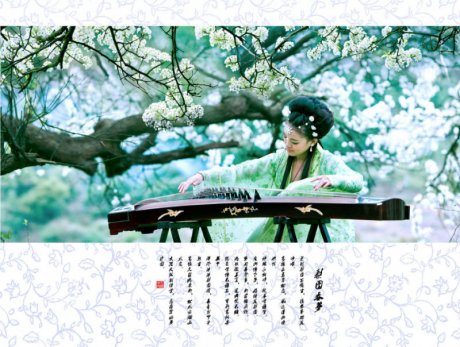 唯美的梨园春色琴韵视觉艺术作