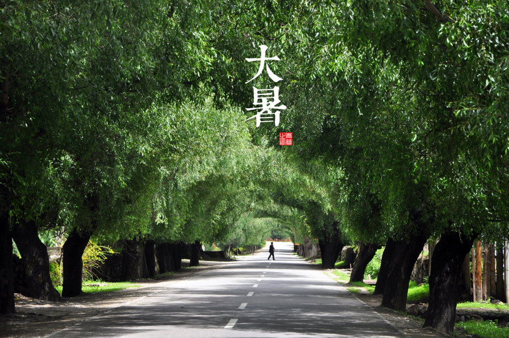 清淡而美丽的二十四节气明信片