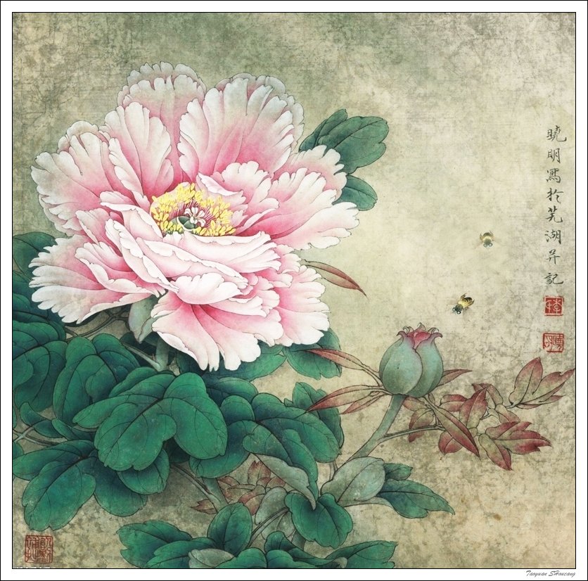 唯有牡丹真国色--牡丹主题工笔绘画作品（一）