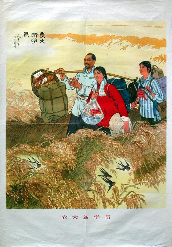 时代特征鲜明的红色时期宣传海报（三十九）