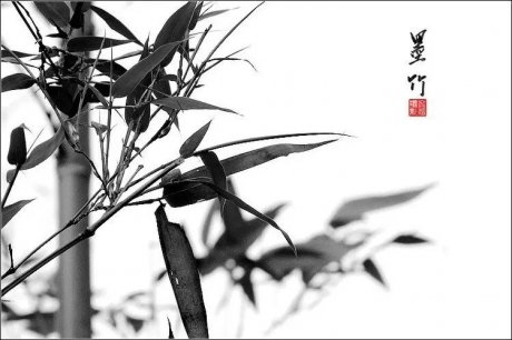 神来之笔--中国绘画墨竹 