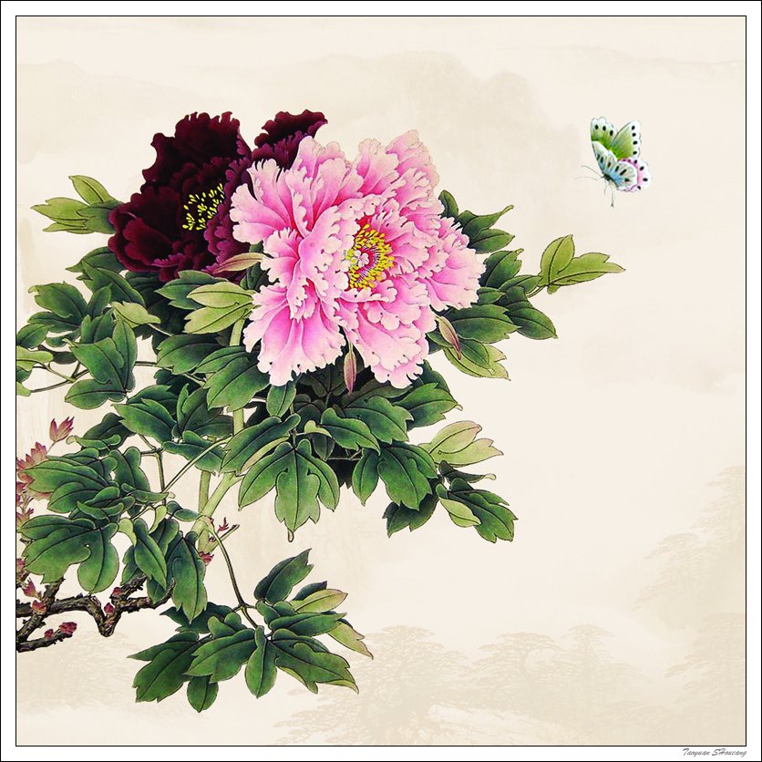 唯有牡丹真国色--牡丹主题工笔绘画作品（五）