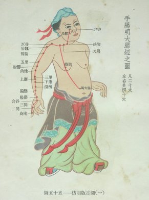 仿明版穴位古图