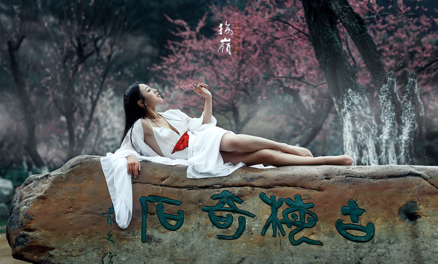 梅花吟主题古风摄影艺术作品