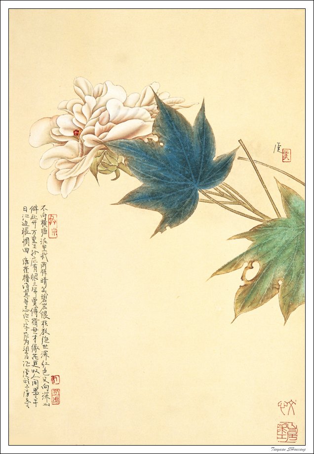 唯有牡丹真国色--牡丹主题工笔绘画作品（四）