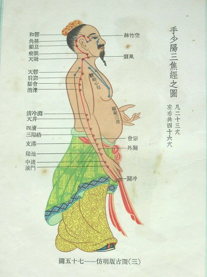 仿明版穴位古图