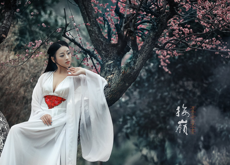 梅花吟主题古风摄影艺术作品