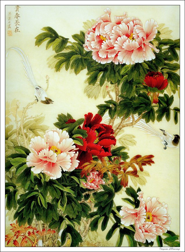 唯有牡丹真国色--牡丹主题工笔绘画作品（四）