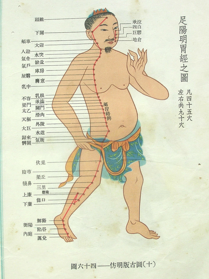 仿明版穴位古图