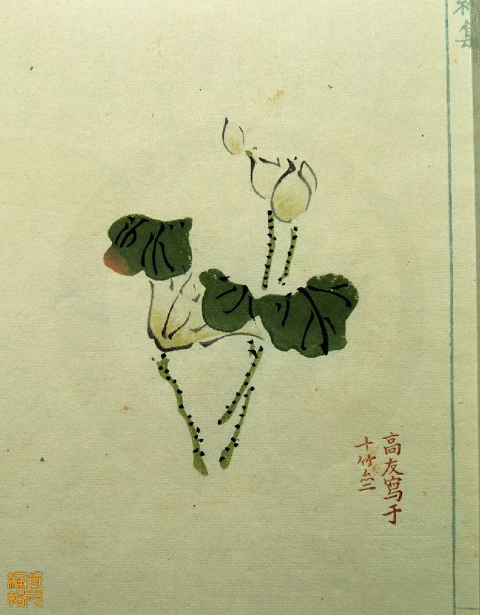 饾版胡正言的《十竹斋画谱》（一）