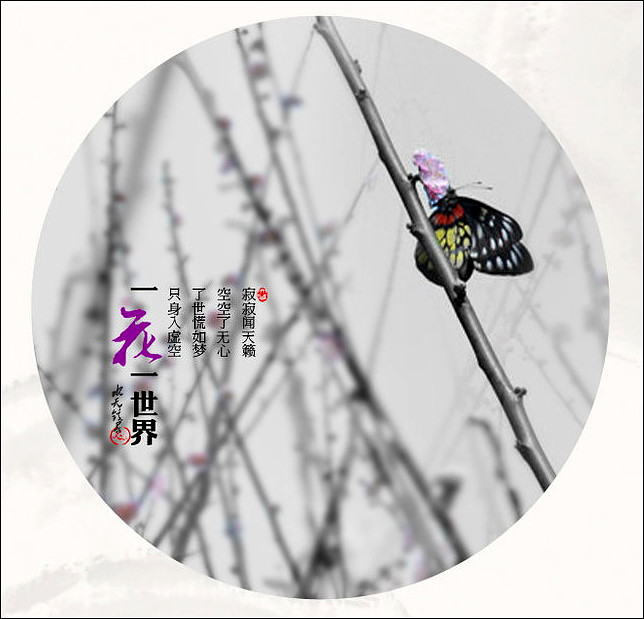“禅”主题创意视觉设计