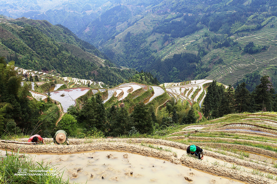 中国最美的山水画--苗寨梯田美景