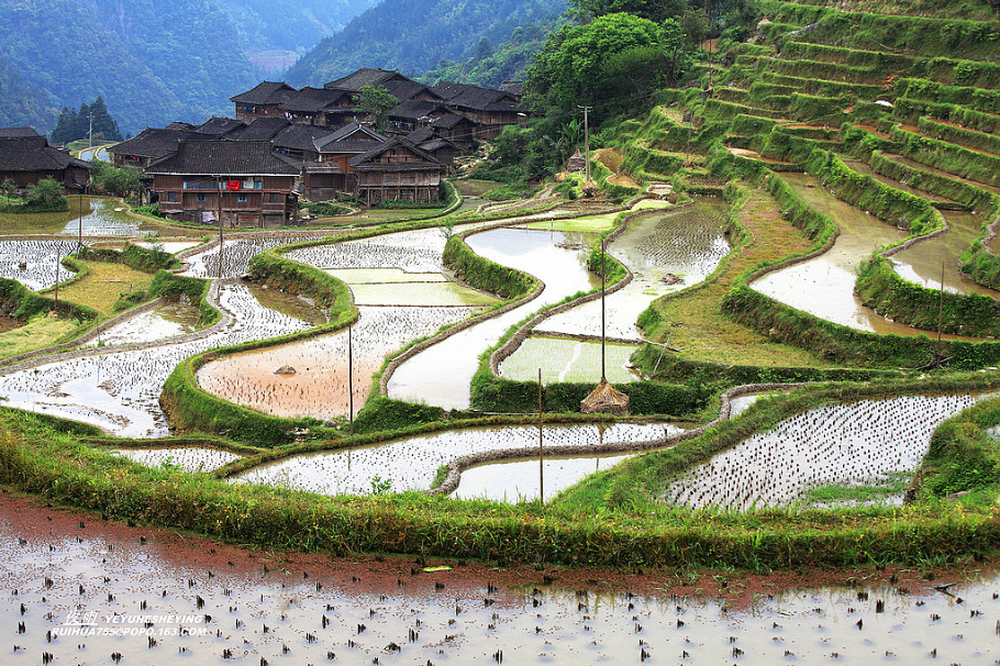 中国最美的山水画--苗寨梯田美景