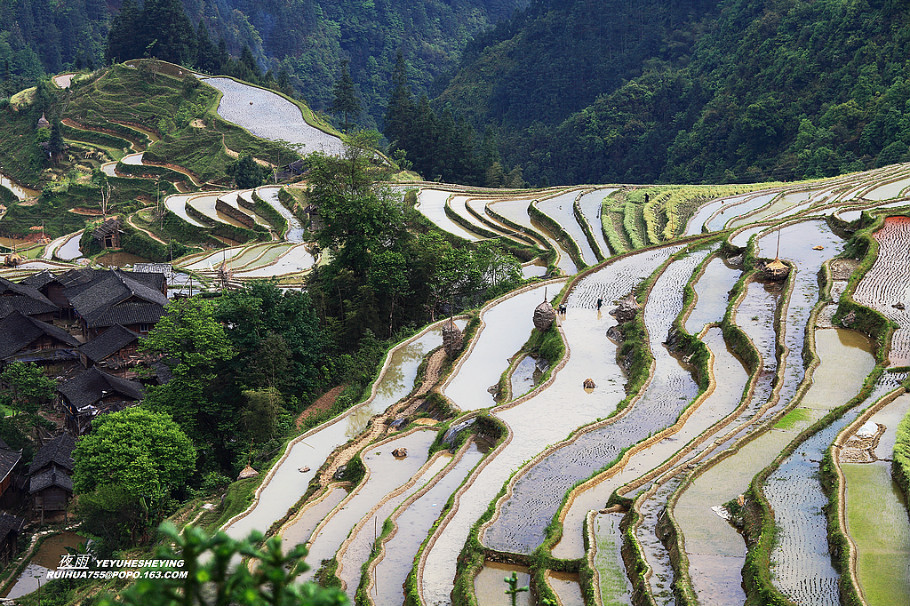 中国最美的山水画--苗寨梯田美景