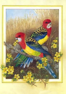 比翼双飞主题工笔绘画艺术作品 