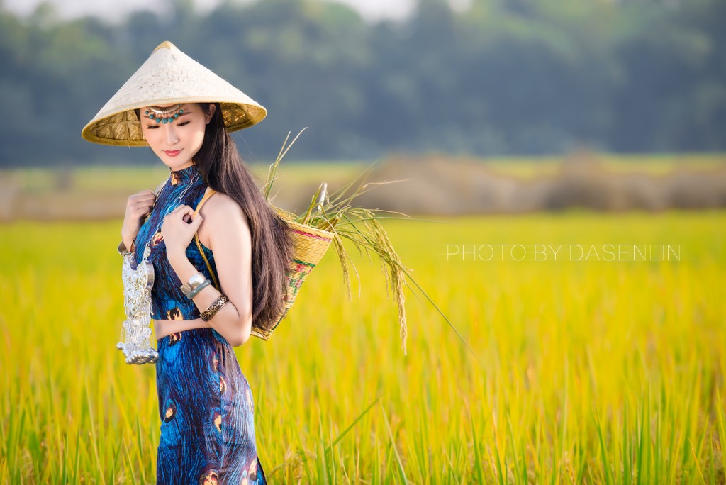 古风唯美稻田人像摄影艺术