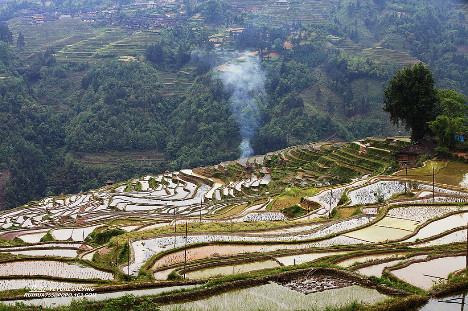 中国最美的山水画--苗寨梯田美景