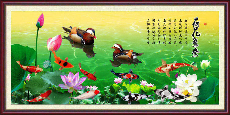荷韵中国风美图视觉艺术作品