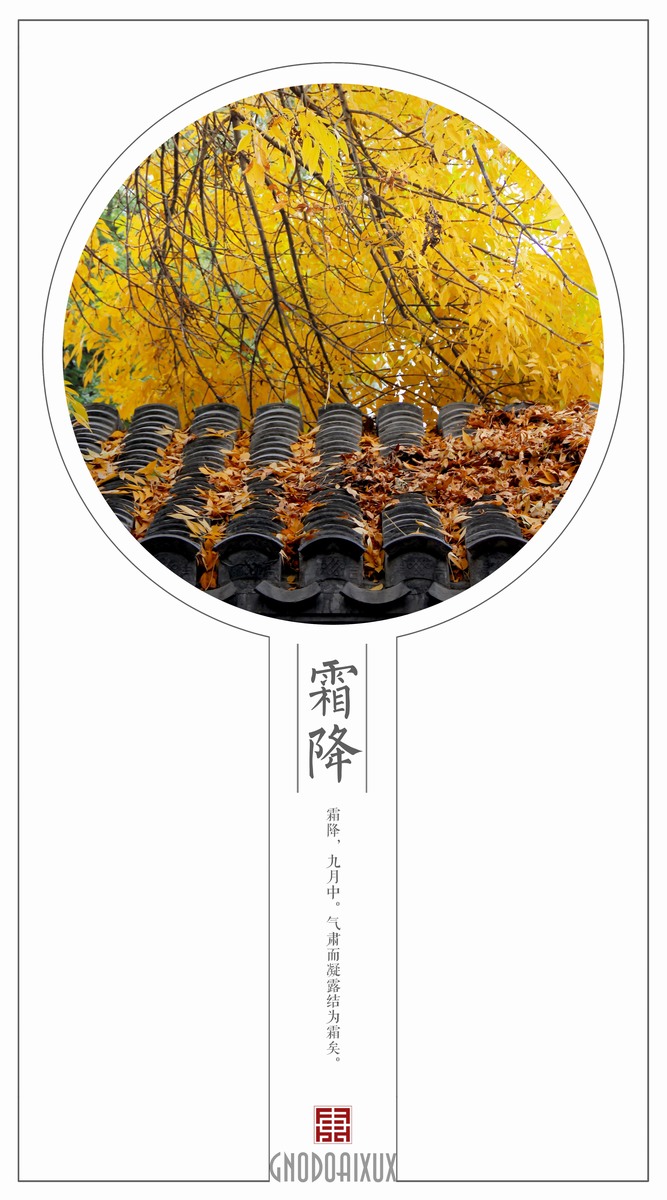 二十四节气创意视觉设计