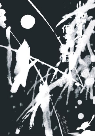 中国元素创意招贴设计作品（三）