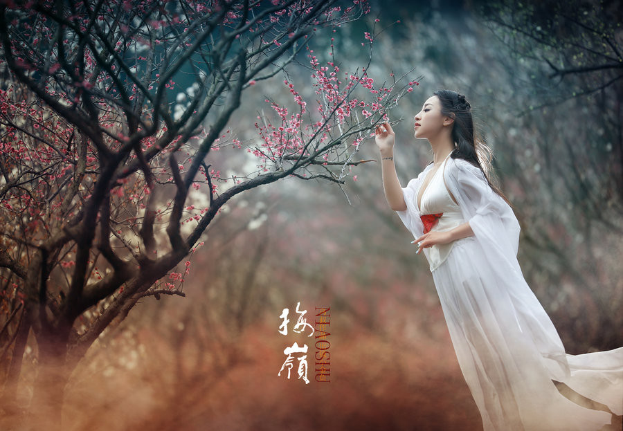 梅花吟主题古风摄影艺术作品