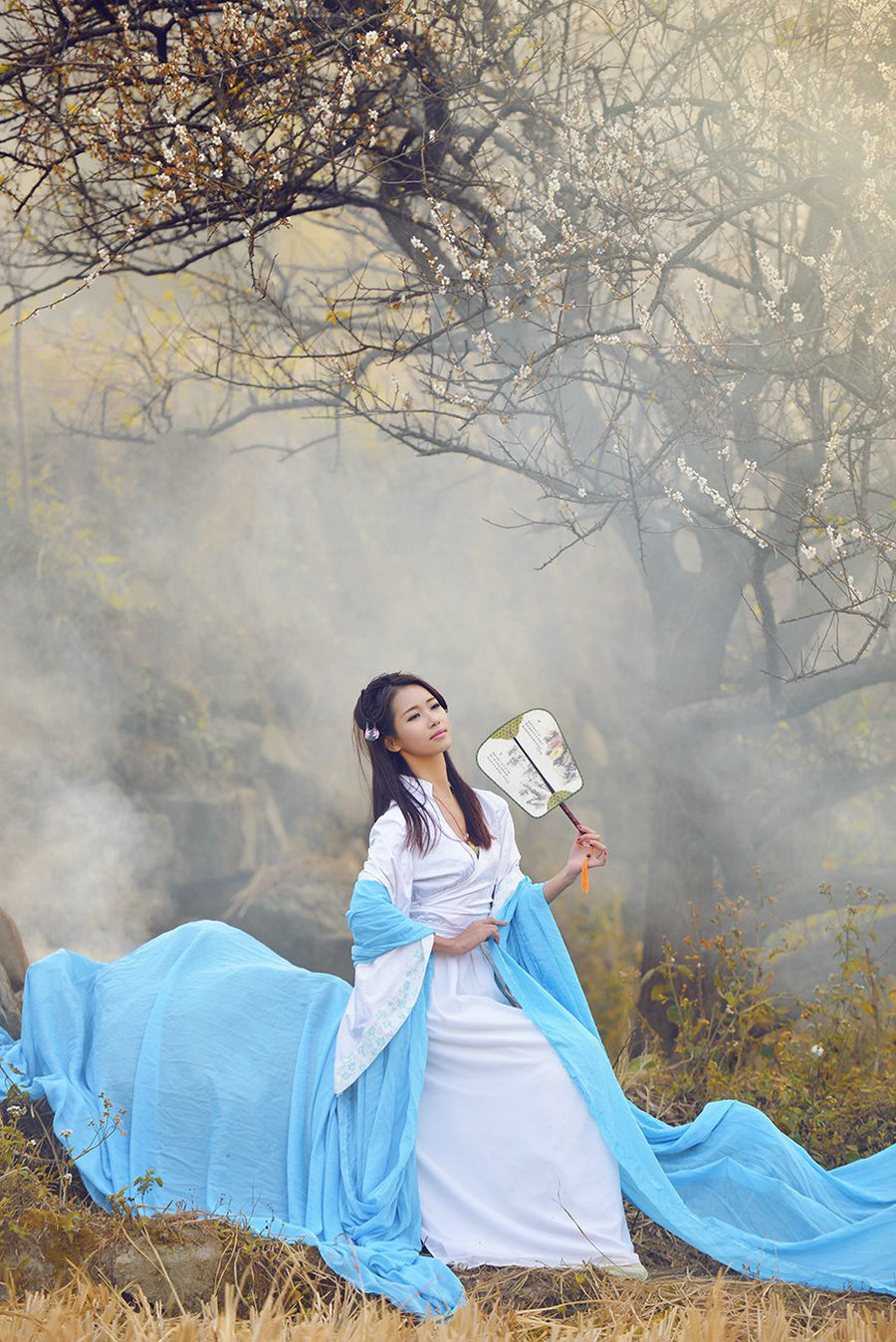 古韵梅花颂主题创意摄影艺术