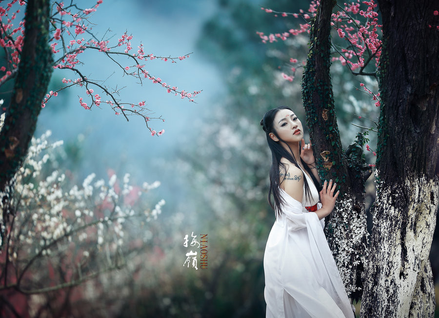 梅花吟主题古风摄影艺术作品