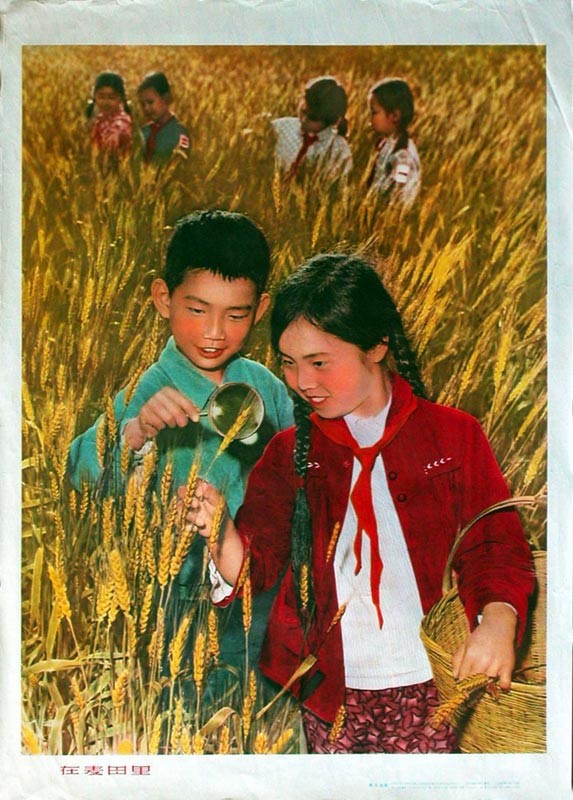 时代特征鲜明的红色时期宣传海报（十七）