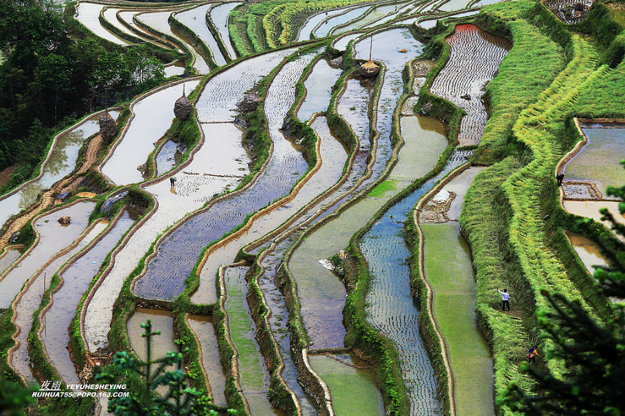 中国最美的山水画--苗寨梯田美景