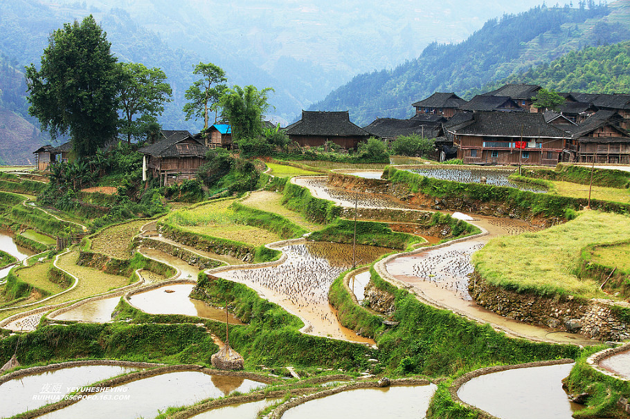 中国最美的山水画--苗寨梯田美景