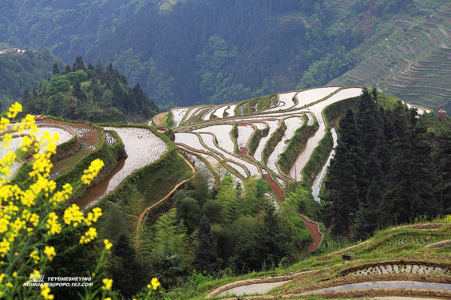 中国最美的山水画--苗寨梯田美景