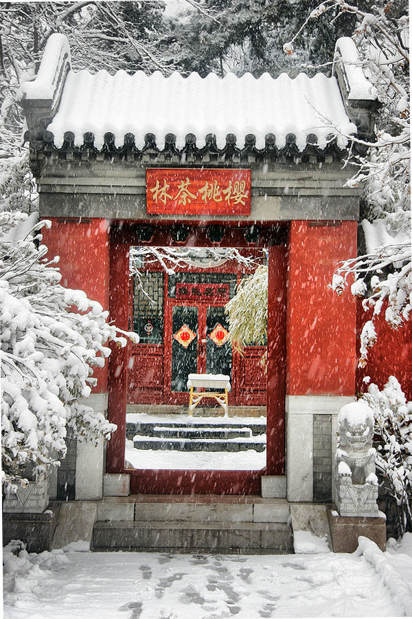 各式各样中国传统建筑中的门